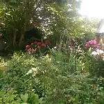 Langdale View Bed & Breakfast