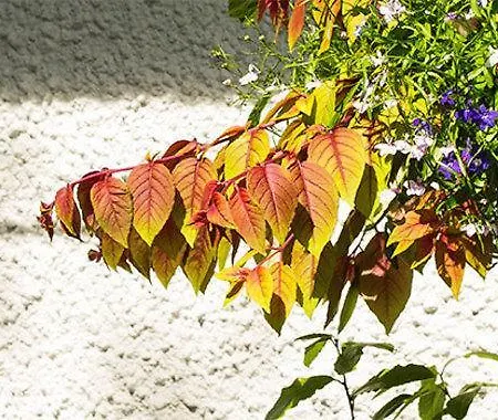 Langdale View Windermere