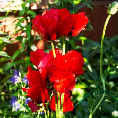 B&B Langdale View 윈더미어