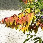 Langdale View Windermere