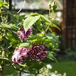 Frühstückspension Langdale View