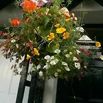 Langdale View Frühstückspension