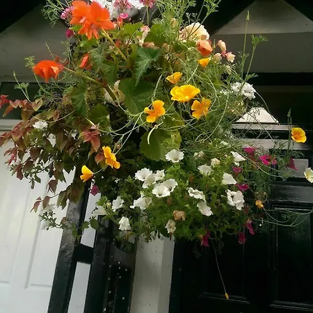 Langdale View Bed & Breakfast