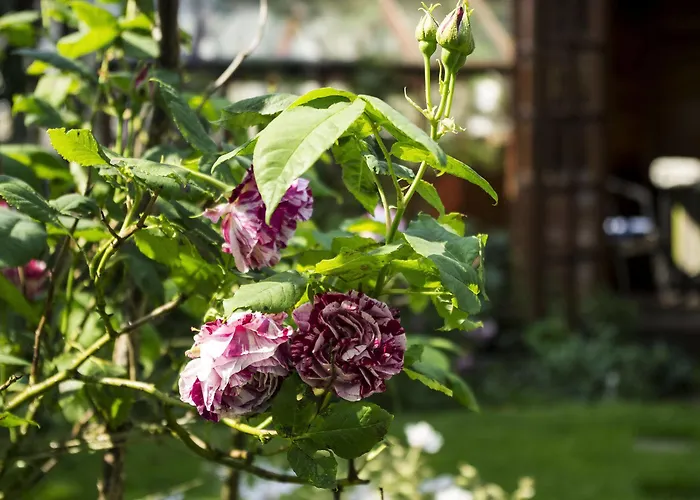 Bed & Breakfast Langdale View