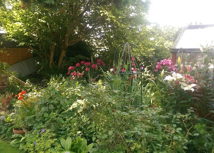 Langdale View Bed & Breakfast