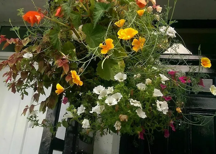 Langdale View Bed & Breakfast